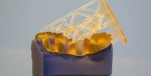 Human jaw printed on 3D printer of photopolymer.